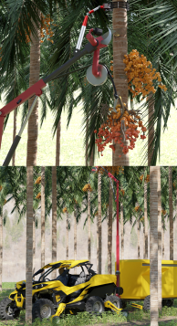 Yellow Adbhutbot UTV driving through a palm tree field, illustrating on-site crop processing for farming.